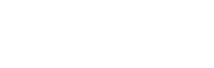 Steam Store